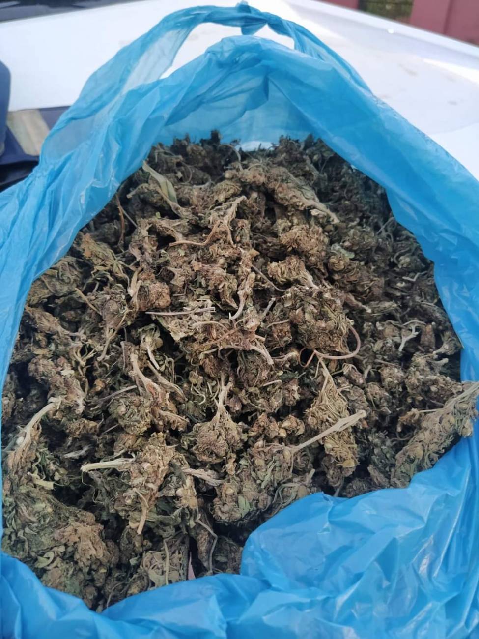 450 gramos de marihuana fue incautada. LINCE