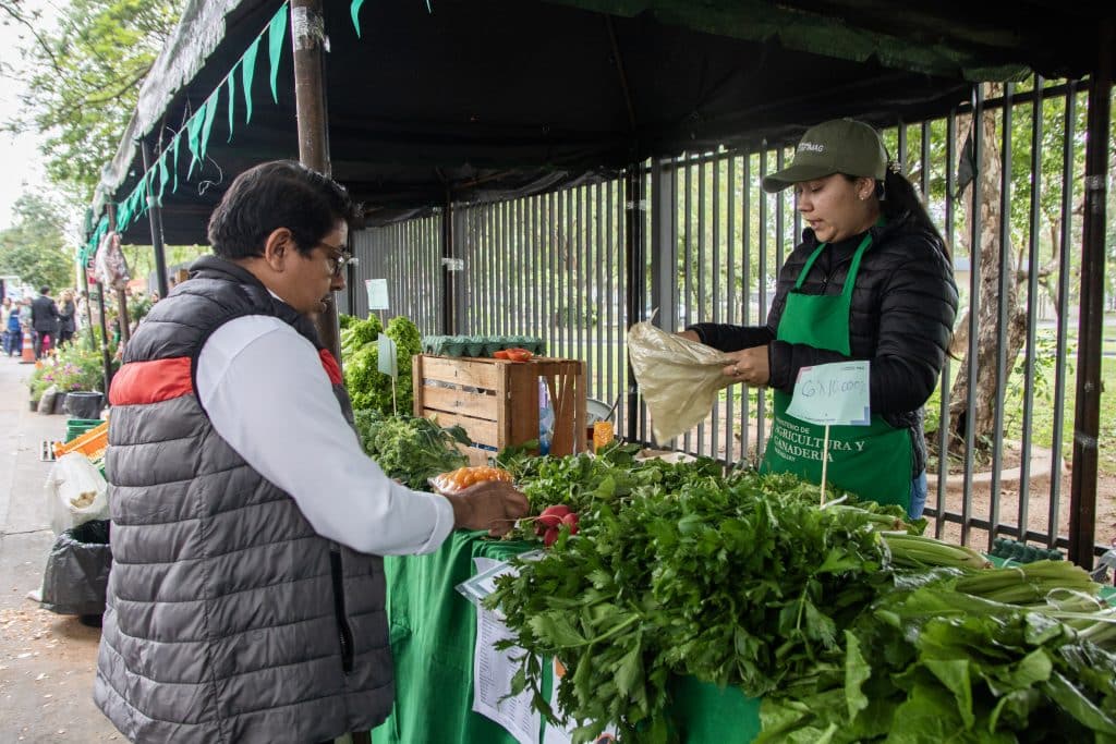 La feria tiene como objetivo impulsar la economía familiar, mejorar la disponibilidad deproductos frescos en la capital y fomentar la sostenibilidad de emprendimientos.