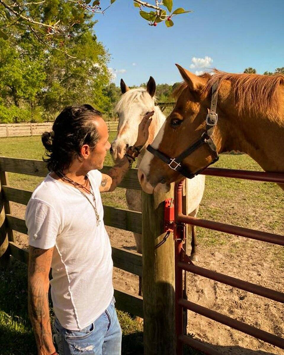 Hace dos años, en plena pandemia, Marc Anthony se había refugiado en su campo pasando los días junto a sus animales.