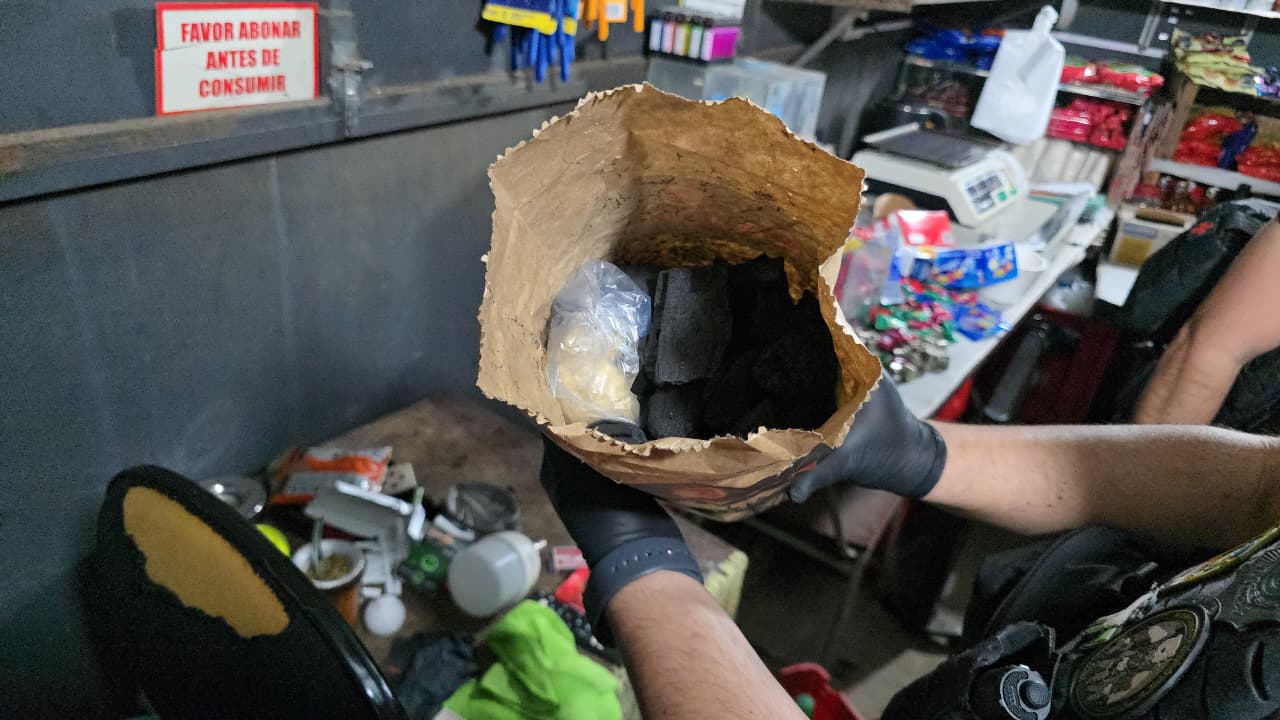 La droga estaba oculta en las bolsas de carbón-Foto Gentileza
