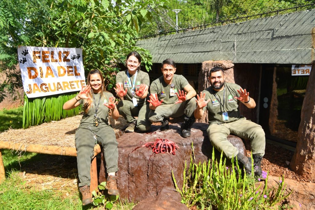 Los cuidadores de los jaguaretés los tratan con amor, pero tienen presente que estos animales no son mascotas.