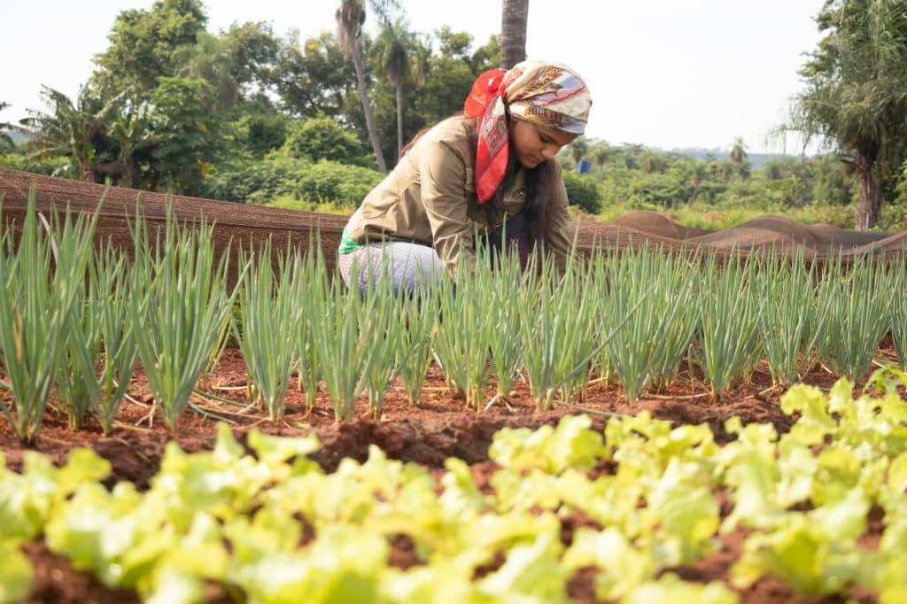 El rol fundamental de la mujer en la agricultura