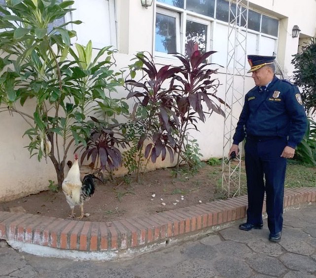 Los uniformados les dan de comer he’i el comisario.