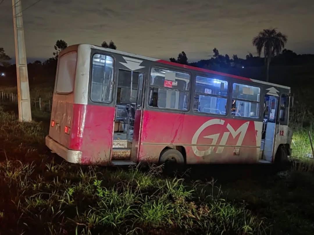 A raíz del choque, el colectivo terminó en un pastizal. Foto: Bomberos de Ypané