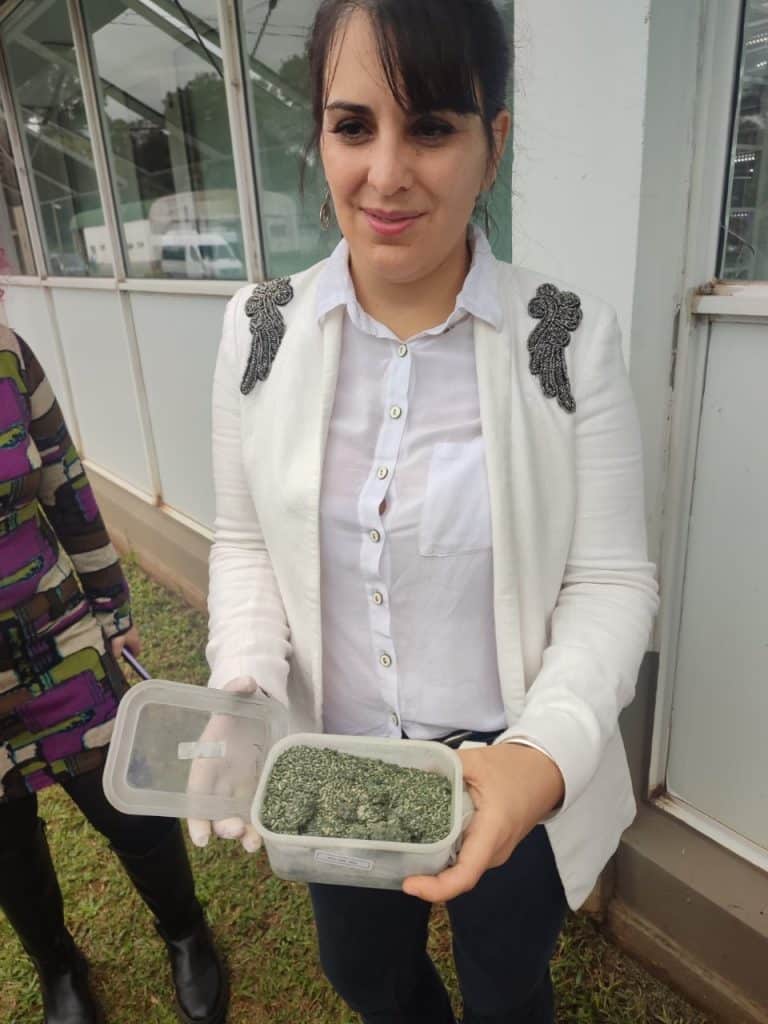 Lic. Marilyn Silva, del área de producción de bioinsumos de la Biofábrica Misiones, con una muestra de Trichoderma, un hongo que ayuda al crecimiento vegetal, utilizado como agente de biocontrol contra hongos fitopatógenos.