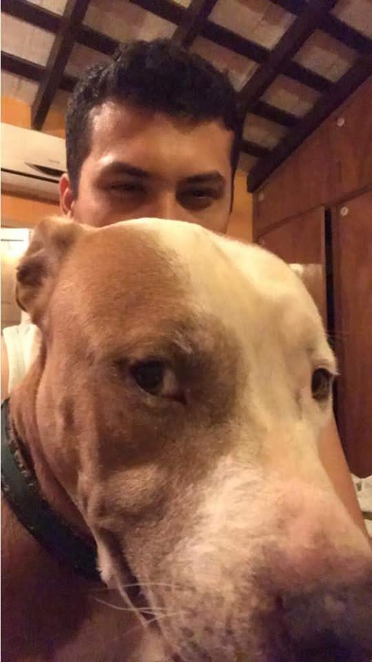Esta es “Jina”, la perrita era muy mimada. FACEBOOK