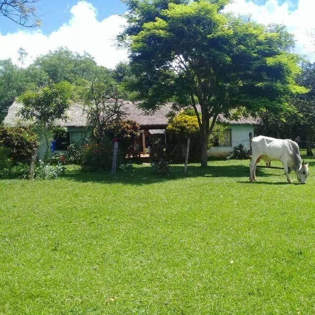 Esta es la casa de Cristian Núñez, en Itapé, donde viven sus padres.