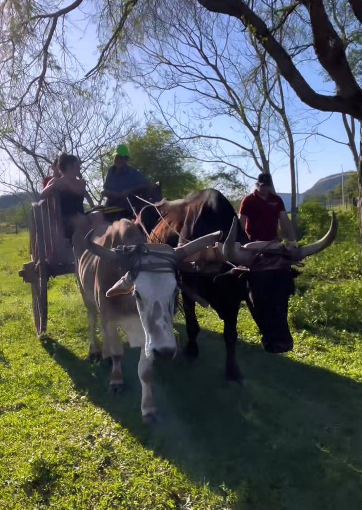 Lari paseándose en una carreta en su propiedad del interior. @larissariquelme