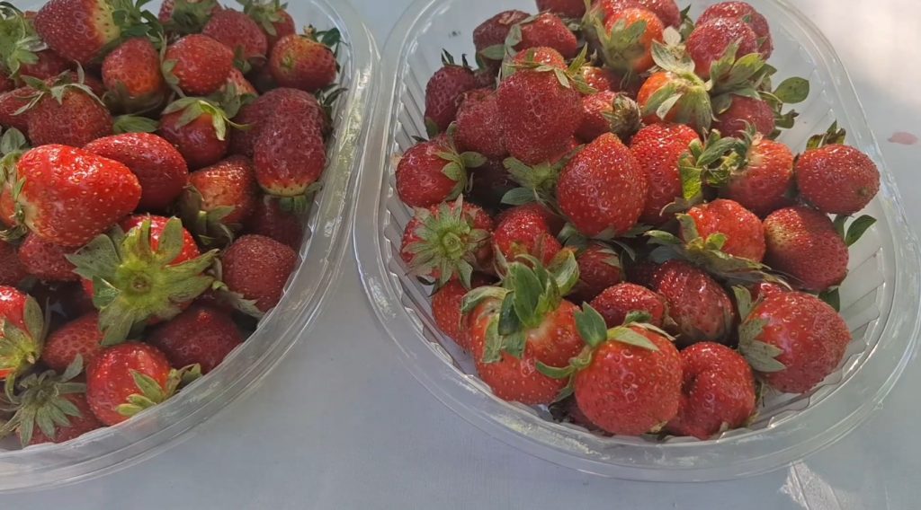 Las frutillas y sus derivados se venden en las ferias. Foto: Captura Corresponsal Lorenzo Agüero.