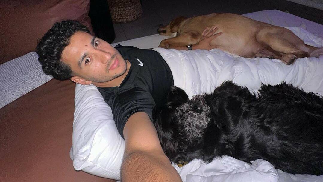 Onda tranqui nomás. El domingo de Cecilio Domínguez con los perros.