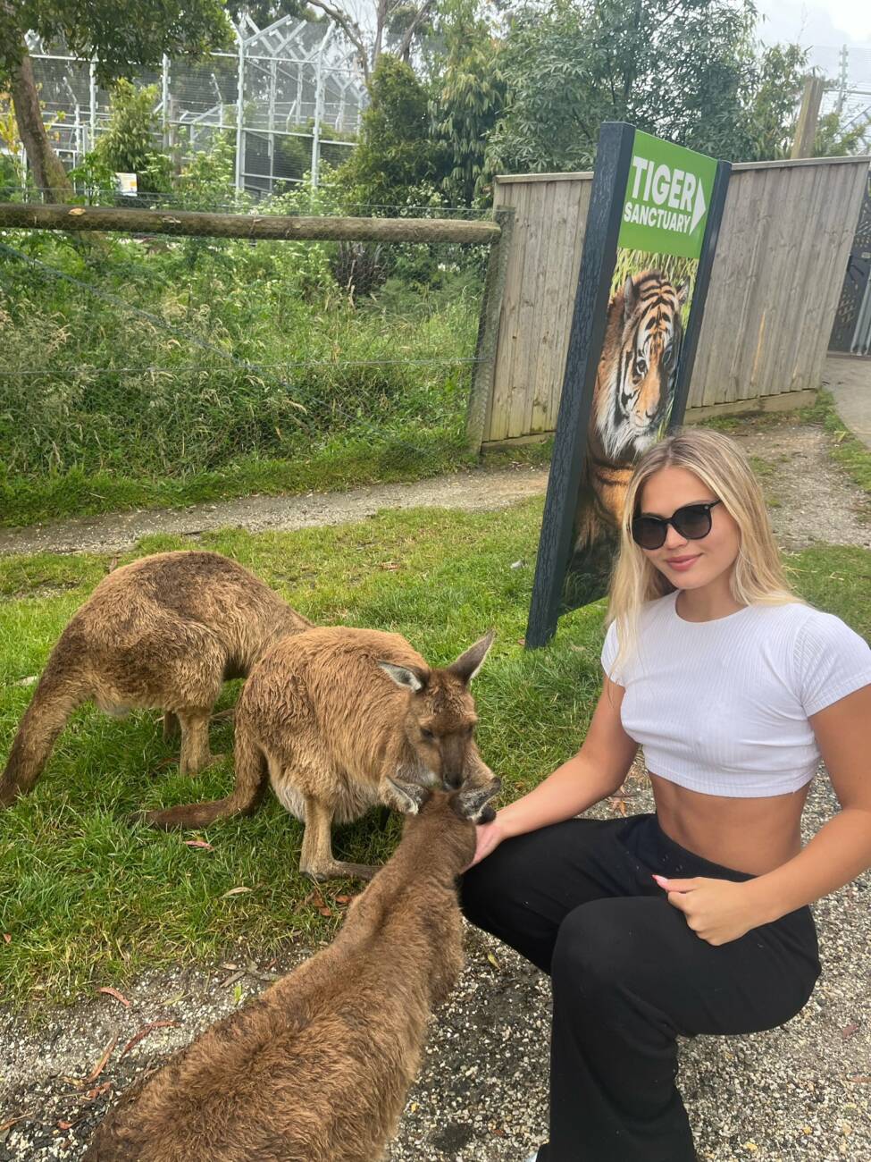 Luana, posando con los canguros en un zoológico de Dubai.