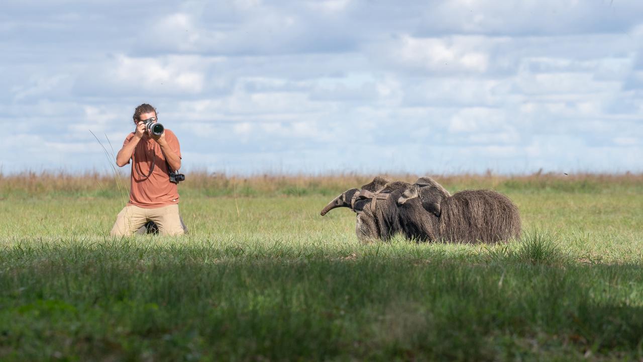 La iniciativa combinará fotografía, ciencia y relatos para visibilizar la riqueza natural y cultural del Paraguay.