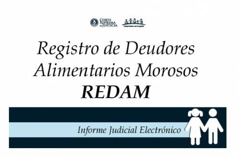 La Cortes Suprema de Juticia habilita plataforma web del Registro de Deudores Alimentarios Morosos. (Foto: Gentileza)