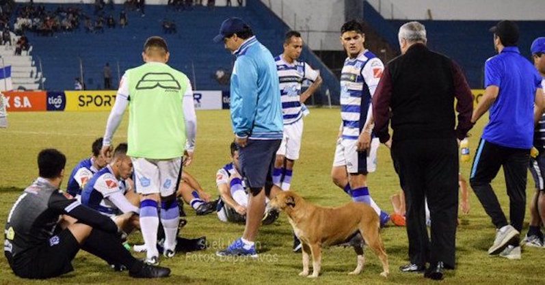 ENTRETIEMPO. Esperando la reanudación del partido, Tesapara acompaña a los jugadores y al técnico.