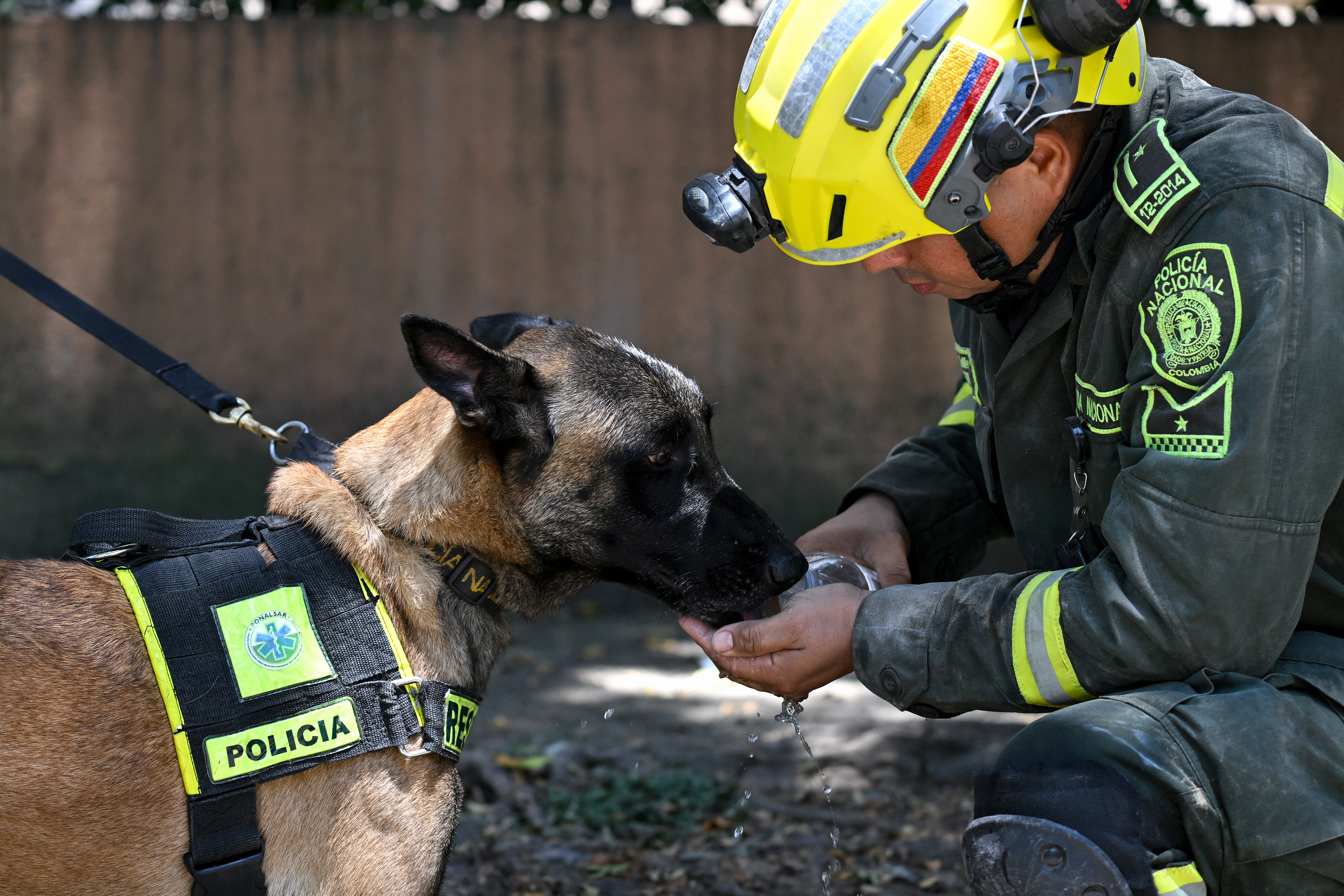 Un oficial de policía junto a un perro rescatista participan de las búsquedas de víctimas del terremoto, en Cali, Colombia.