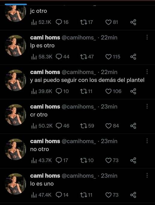 Parte del chat de la cuenta falsa. Captura/twitter