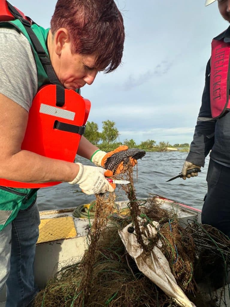 Las redes que fueron retiradas, en su mayoría, eran de nylon y estánprohibidas por normativa ambiental dentro y fuera de áreas de conservación,ya que no dañan solo a peces, sino también a aves y otras especies.