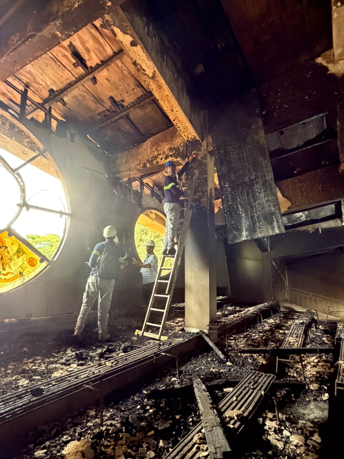 La patología de la construcción se ocupa de estudiar los daños, las fallas y los deterioros en edificaciones. El patólogo tendrá 15 días para elaborar un informe técnico detallado sobre los daños y cómo poner en marcha la restauración.
