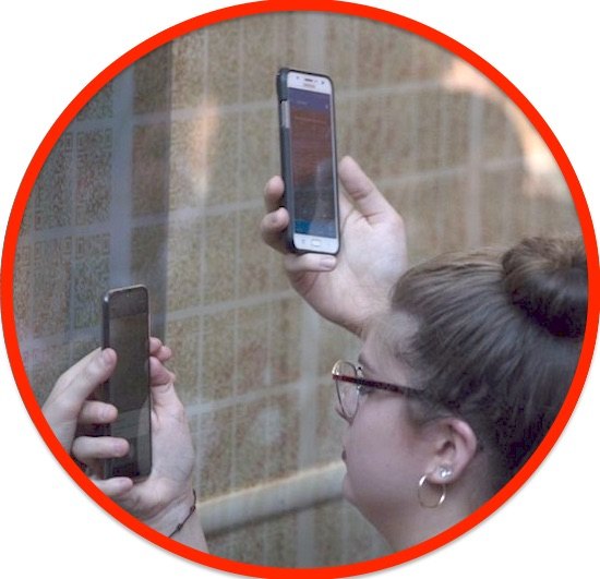 Desde cualquiera app que lea QR se pueden bajar los libros.