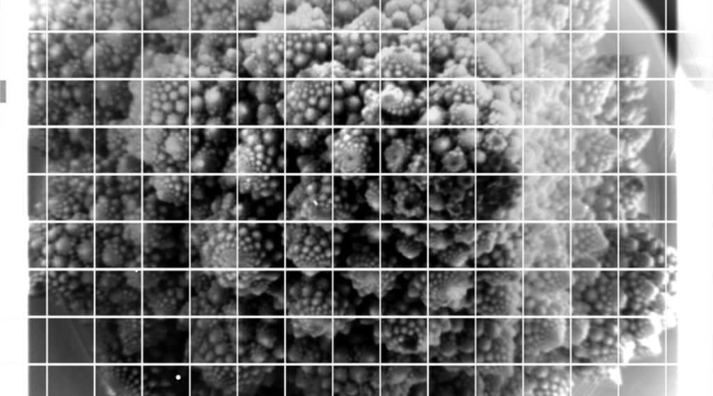 En 2020, el equipo del Observatorio Rubin capturó las primeras fotos digitales de 3.200 MP, las más grandes de la historia.Usaron un agujero de 150 micrones para proyectar imágenes sin la cámara ensamblada. Incluyeron imágenes simbólicas como un romanesco, el grabado de Flammarion y un retrato de Vera C. Rubin.