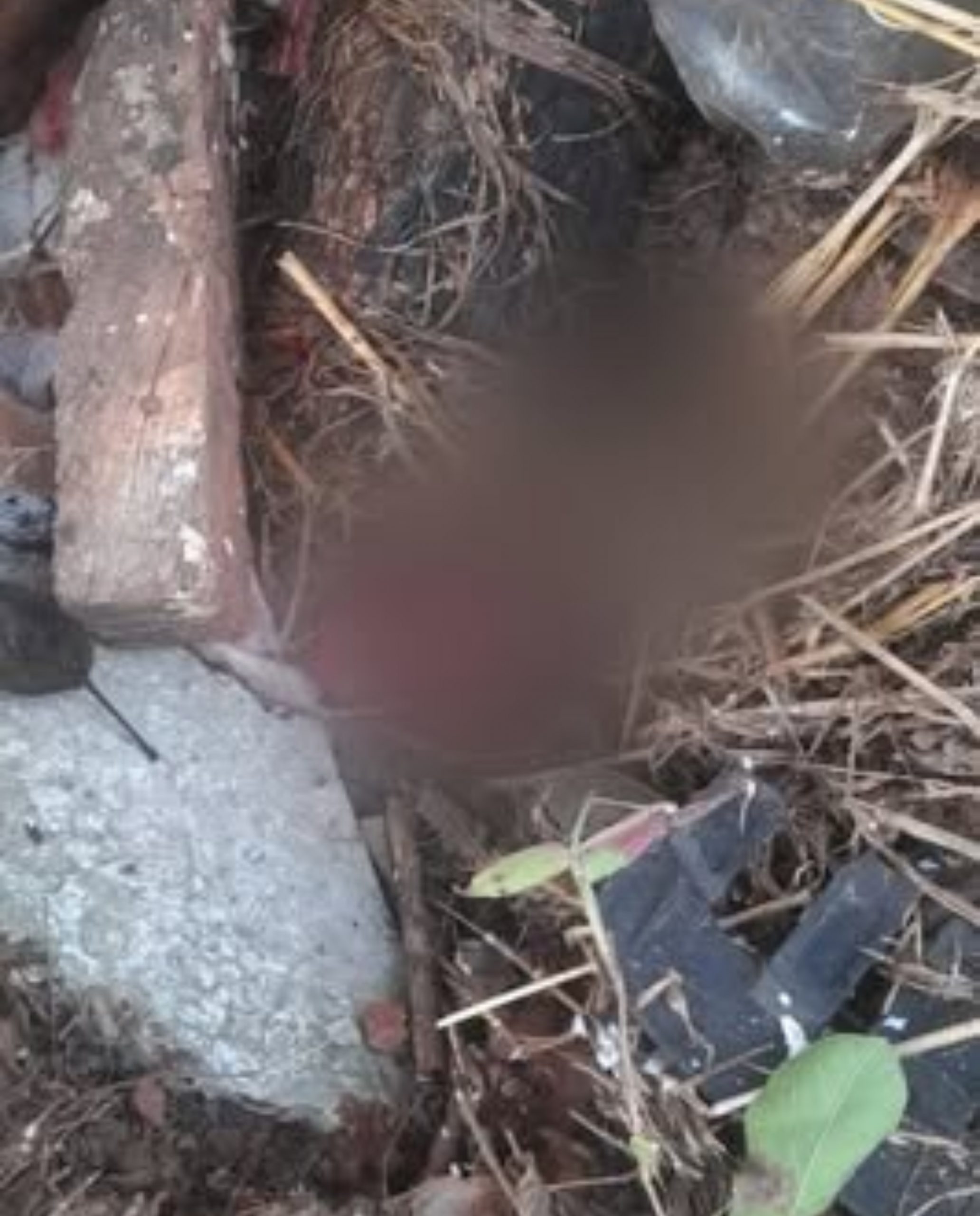 Hallan feto en un patio baldío en la ciudad de Limpio. Foto: Gentileza