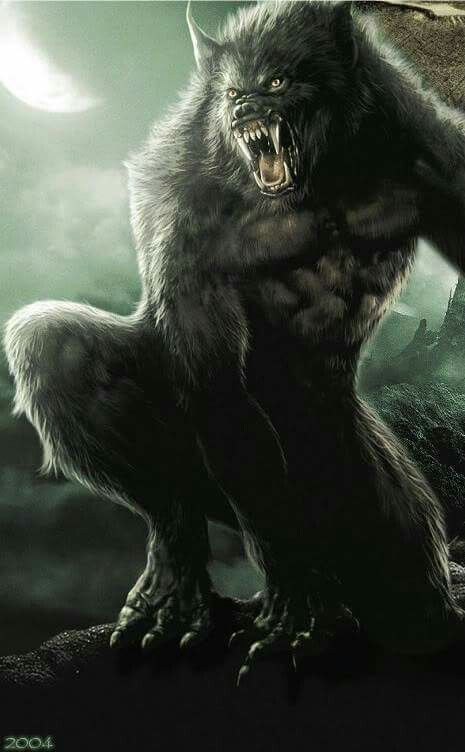 Según la leyenda, el hombre lobo sale y se transforma con luna llena.