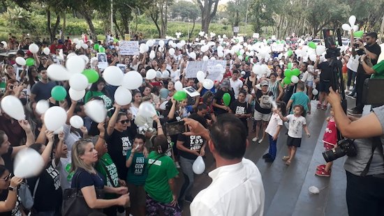 La manifestación que se hizo ayer en CDE.