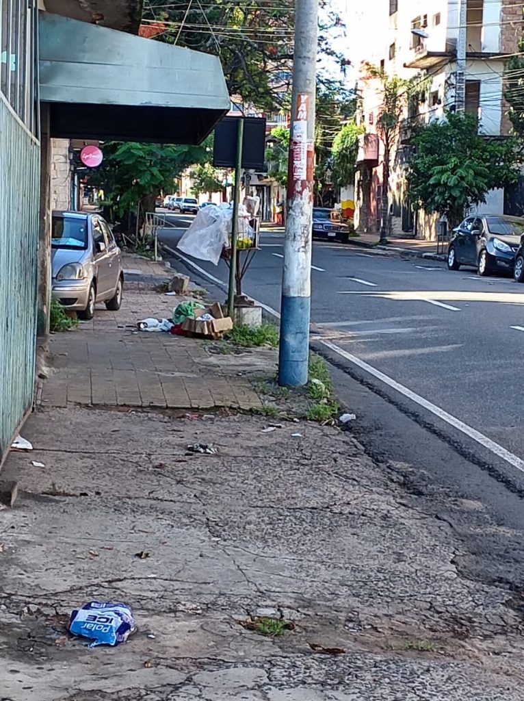 A cuadras del Palacio de Justicia, en el barrio Sajonia, animales callejeros esparcen la basuramientras el camión no recolecta hace cuatro días.