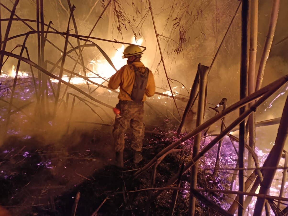 Ejército Paraguayo, Comando Logístico, Armada Paraguaya y la Fuerza Aérea se unen al intenso trabajo de los bomberos
