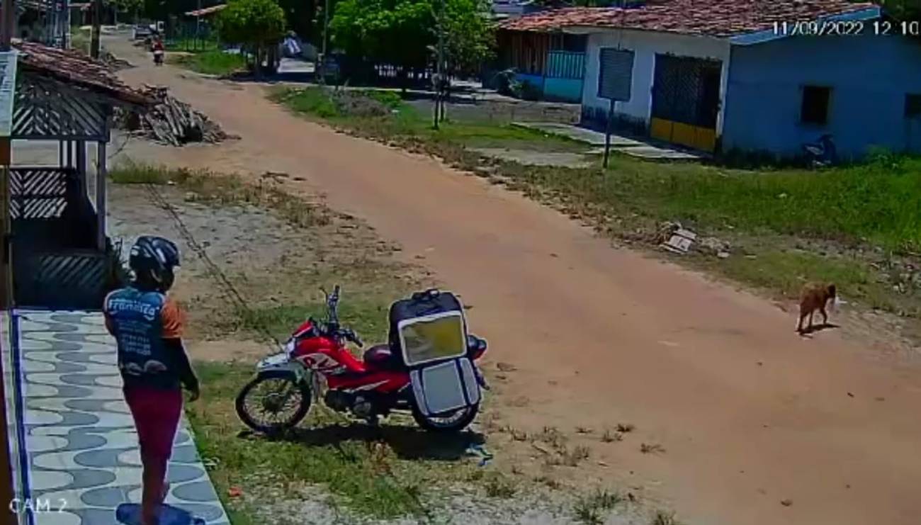 Ni tonto, ni perezoso, se llevó en silencio un pedido que debía entregar el joven trabajador. Foto captura