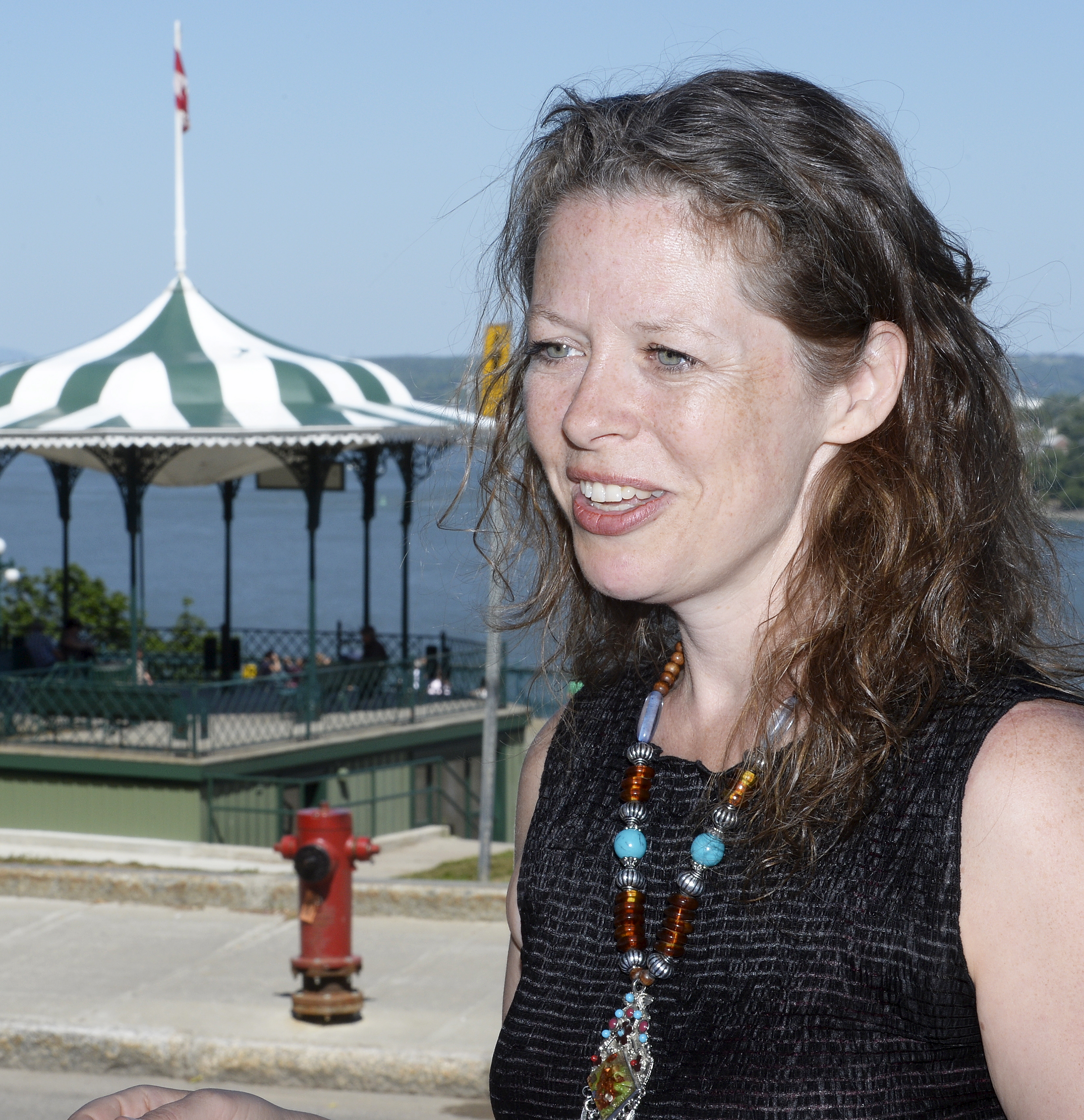 Le MacFly Bar Arcade blâmé pour une publicité sexy