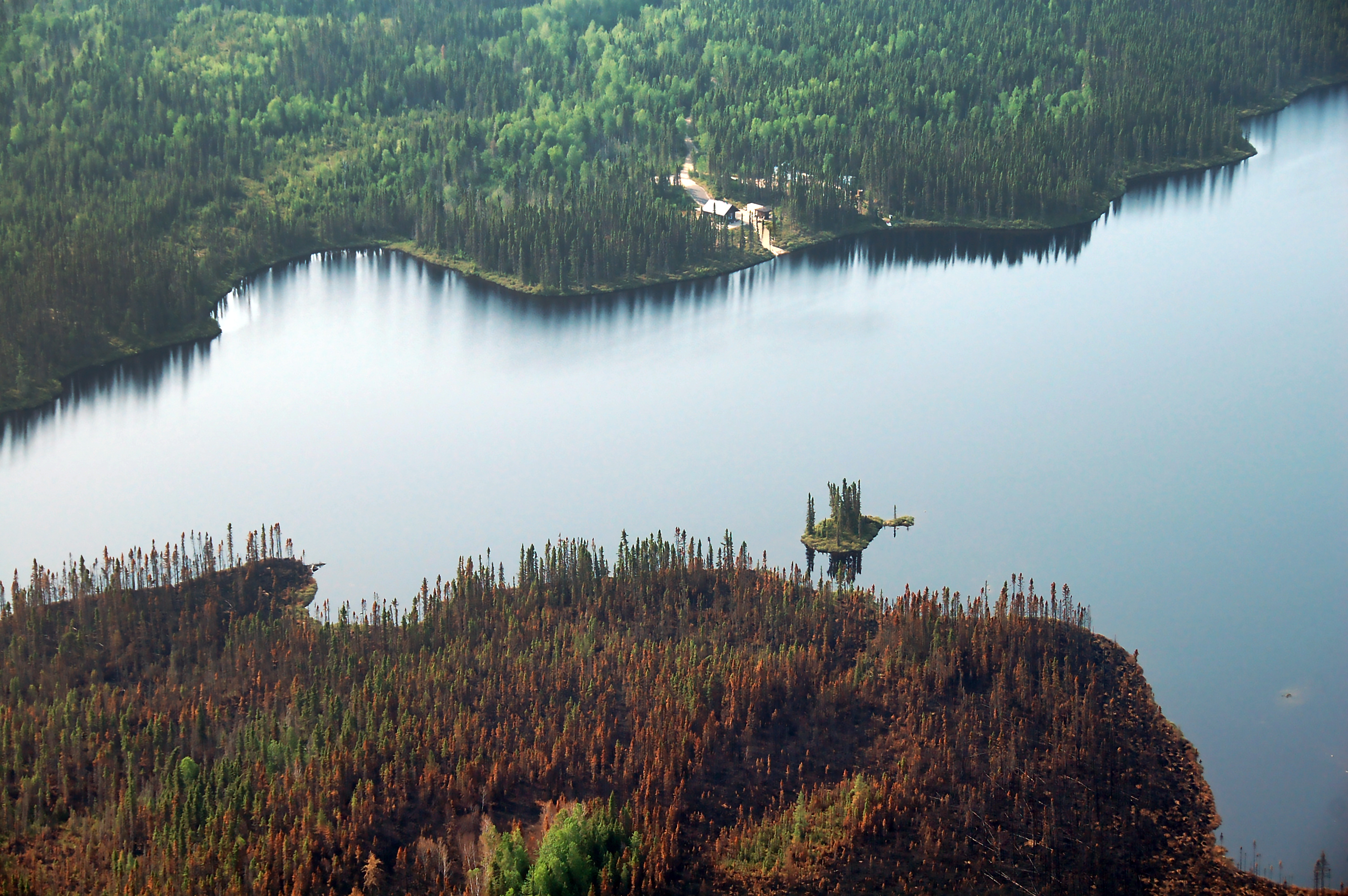 Récolte du bois brûlé dans le Nord-du-Québec, « C'est vraiment un marathon  »