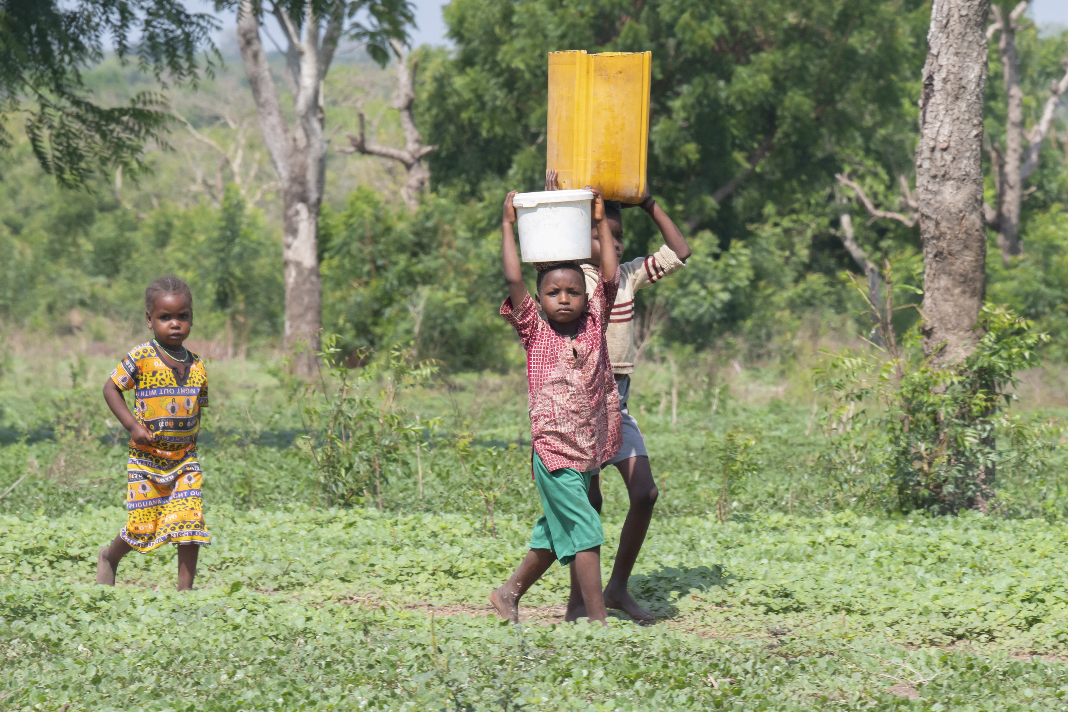 Production bovine du Campement Pheul de Foki (Djidjé) gens qui vont chercher de l'eau dans des puits