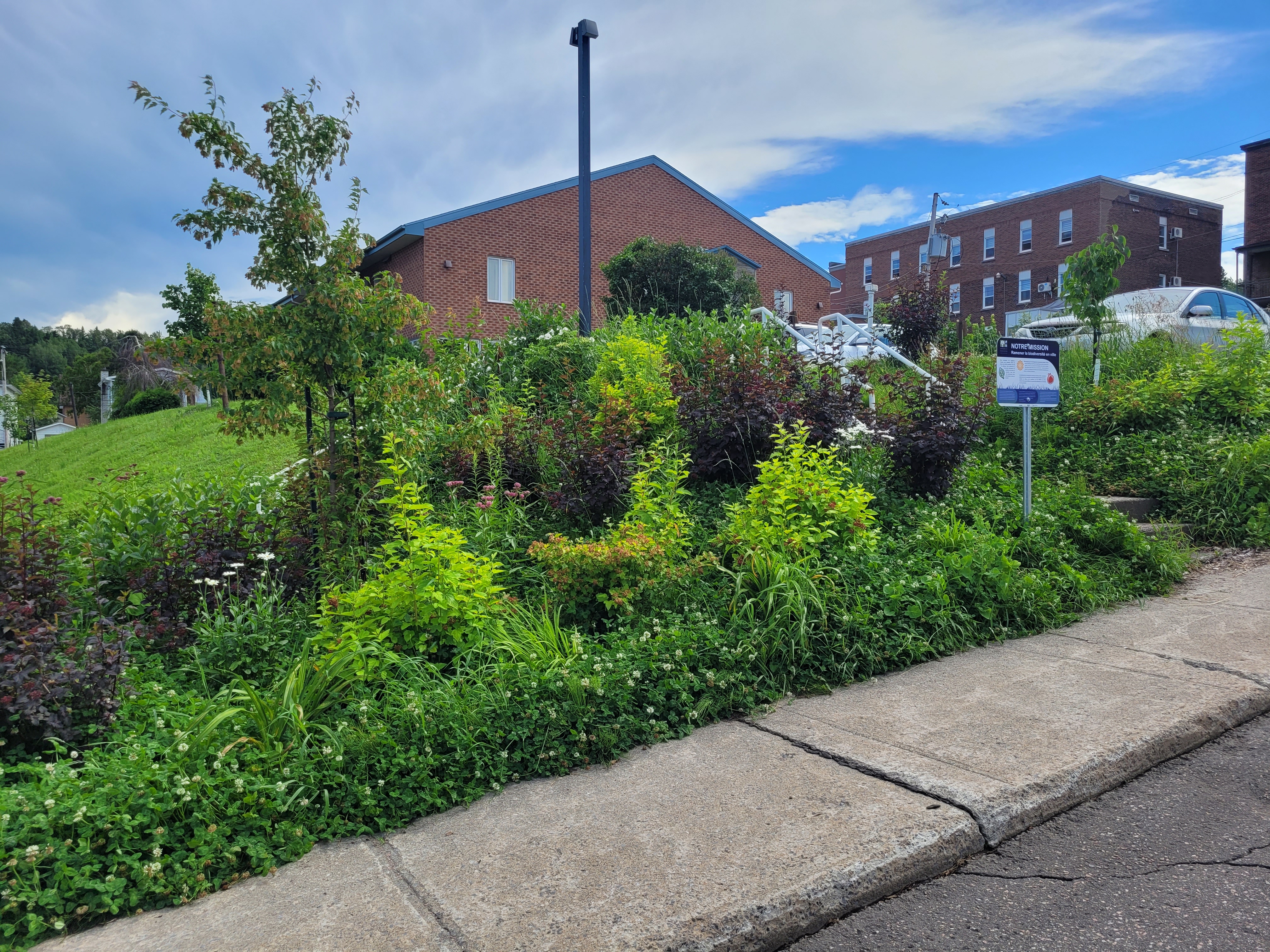 Gazon toujours plus dense plus vert! - WBrown toujours plus que vert!  Spécialiste de la fertilisation, de l'implantation de nouvelles pelouses et  de l'ensemencement de gazon. Rive-Sud de Montréal