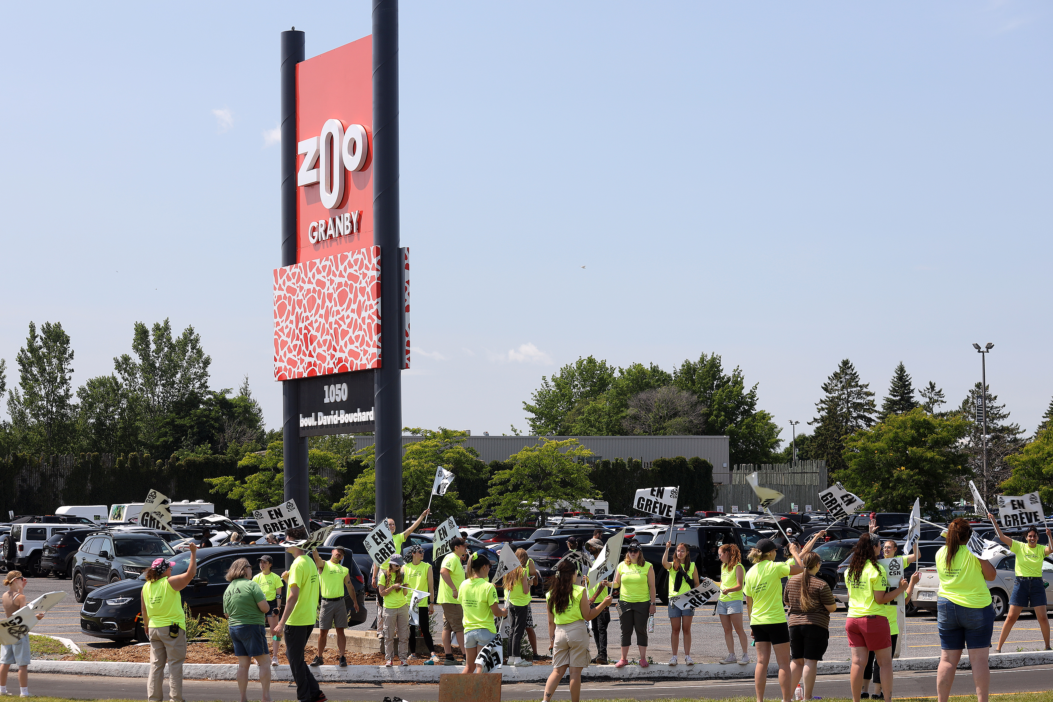 Grève Zoo Granby Juillet 20204 E. Des dizaines d'employés du Zoo de Granby ont manifesté le 22 juillet devant l'entrée principale de l'attrait touristique, sur la route 139. 