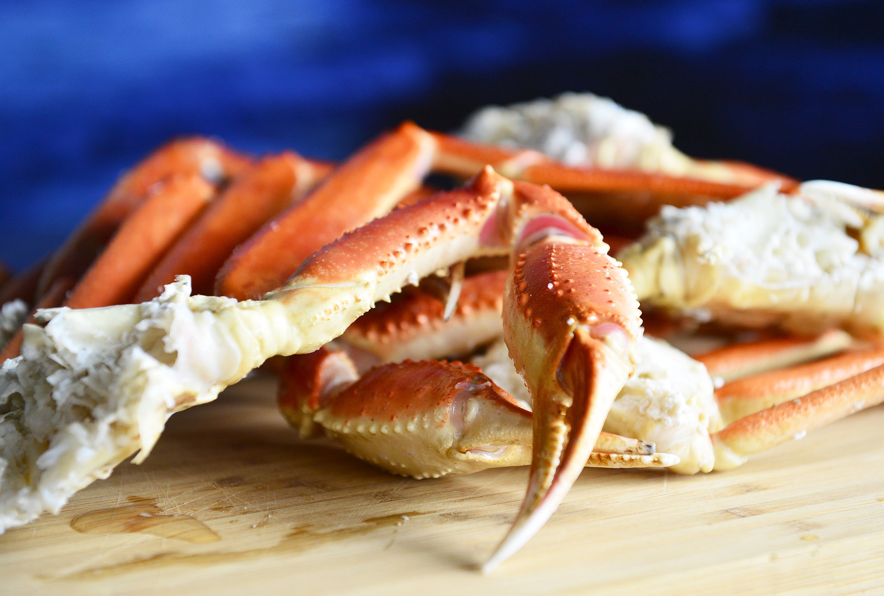 Famille Homard - Ciseaux Homard | Big One fort qui coupe facilement le  crabe et le homard | bol