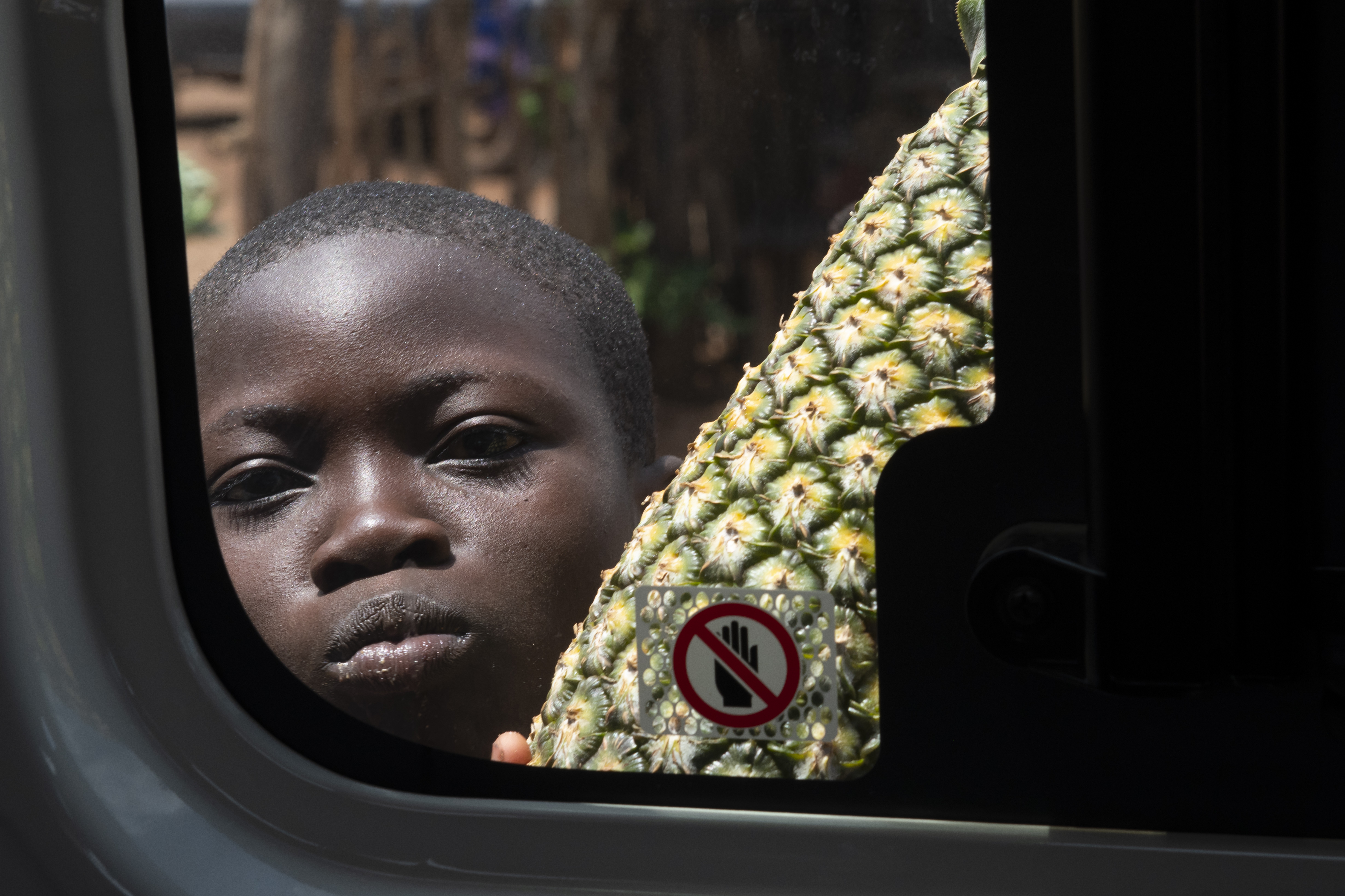 Marché de fruits au Bénin, AfriqueAnanas