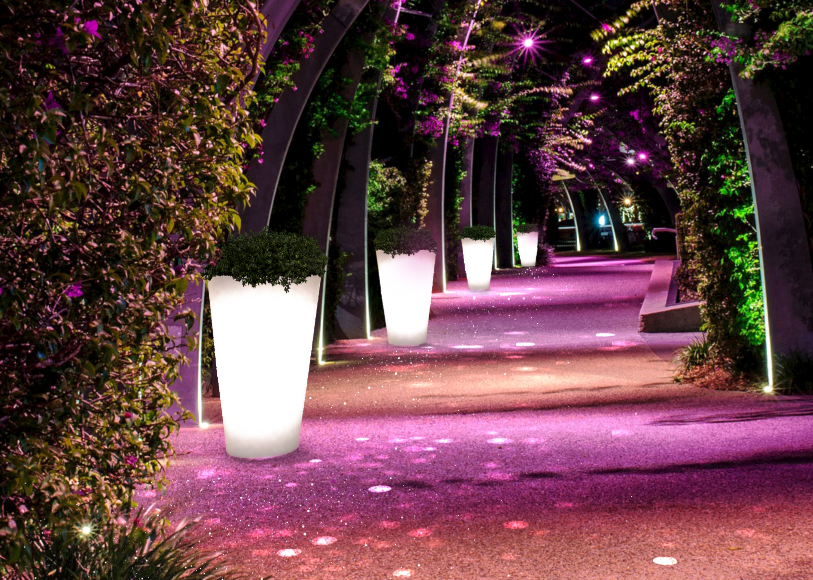 L'éclairage LED illumine le jardin - Lorraine Magazine