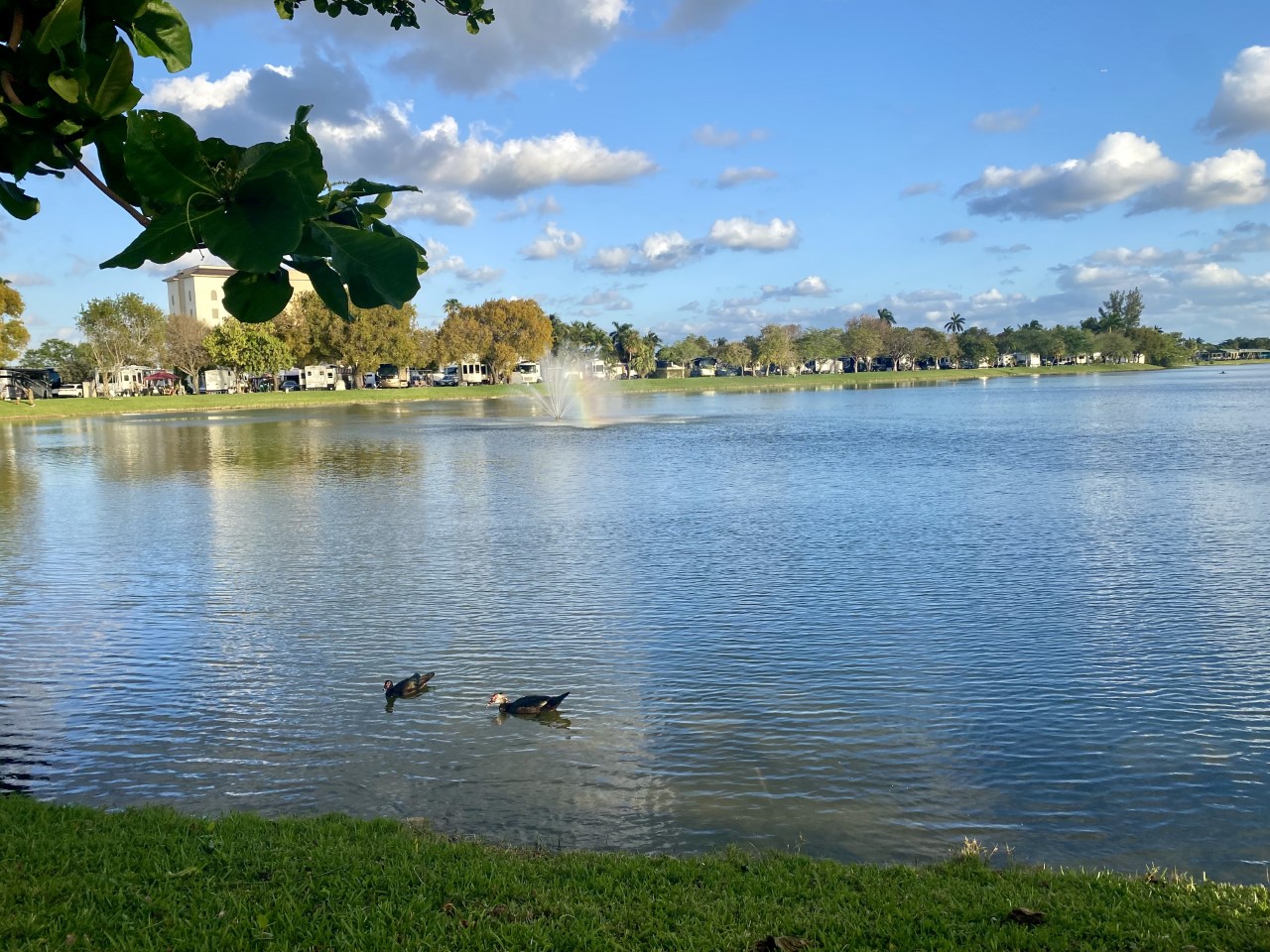 Parc Maison Mobile En Floride Ventana