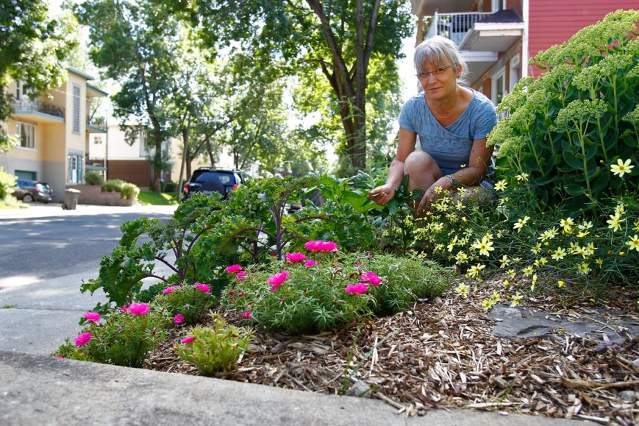 Composter dans la cuisine - Ville de Lévis