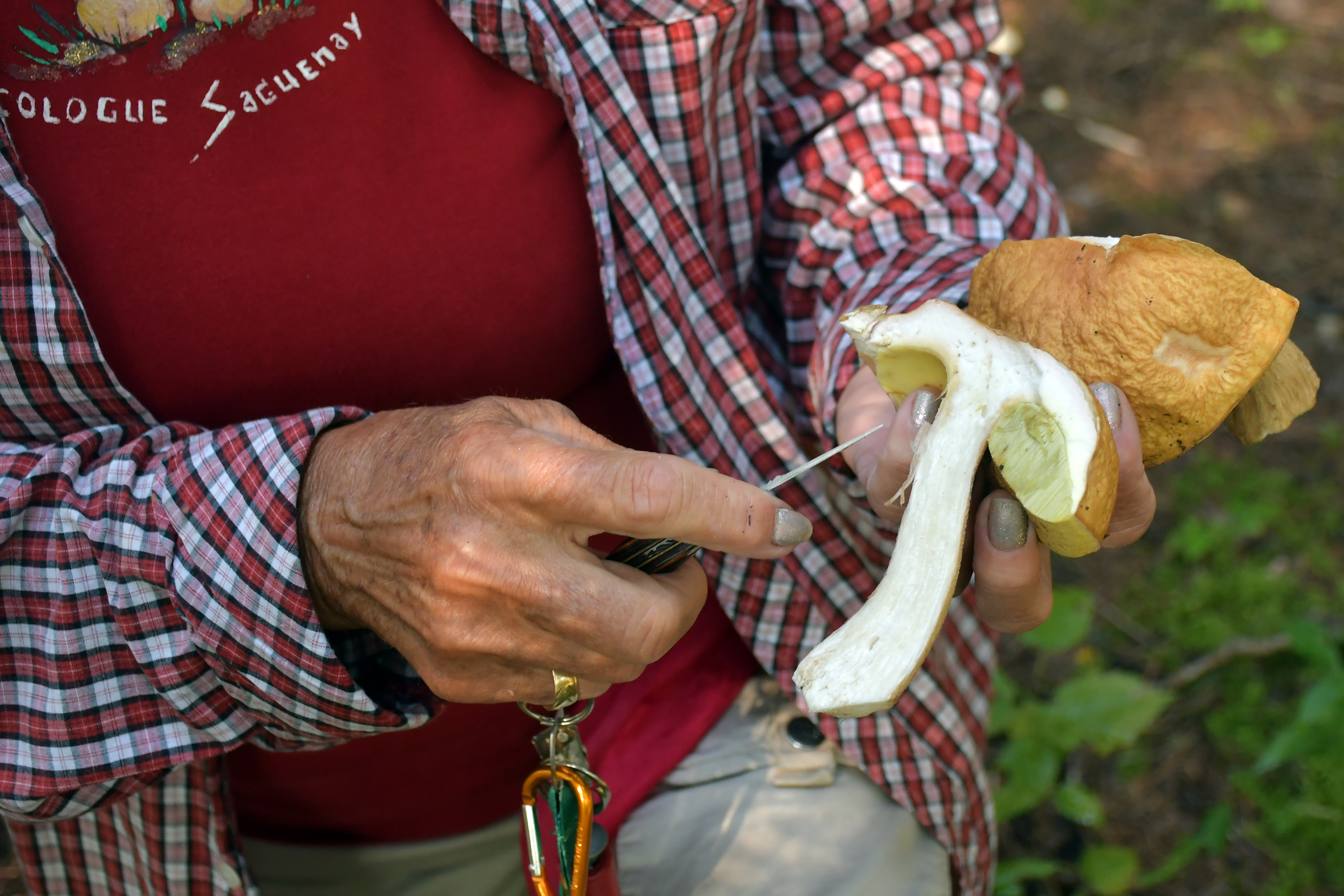 CHAMPIGNONS Guide de terrain édition 2023