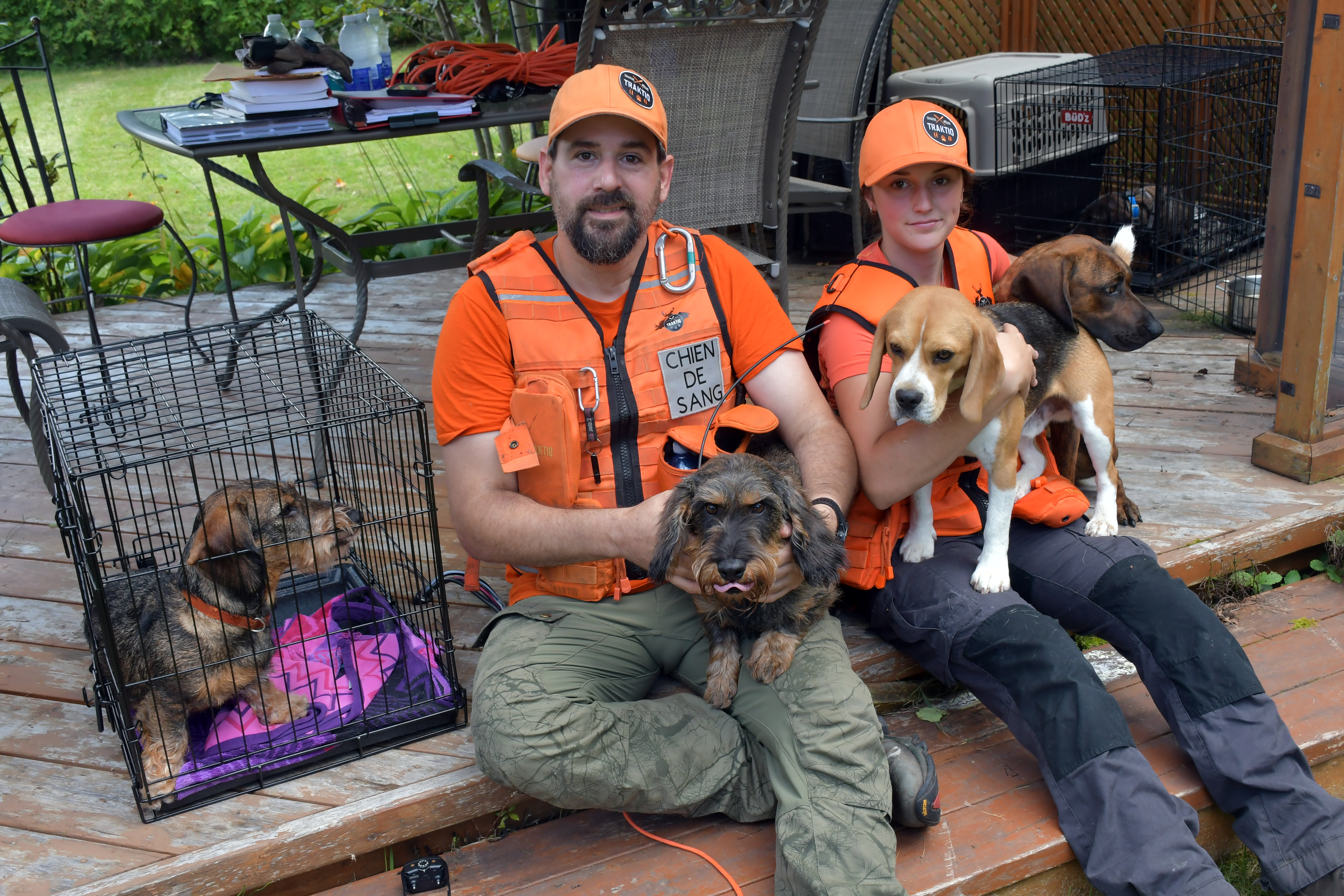 Chiens de sang ces h ros m connus de la chasse