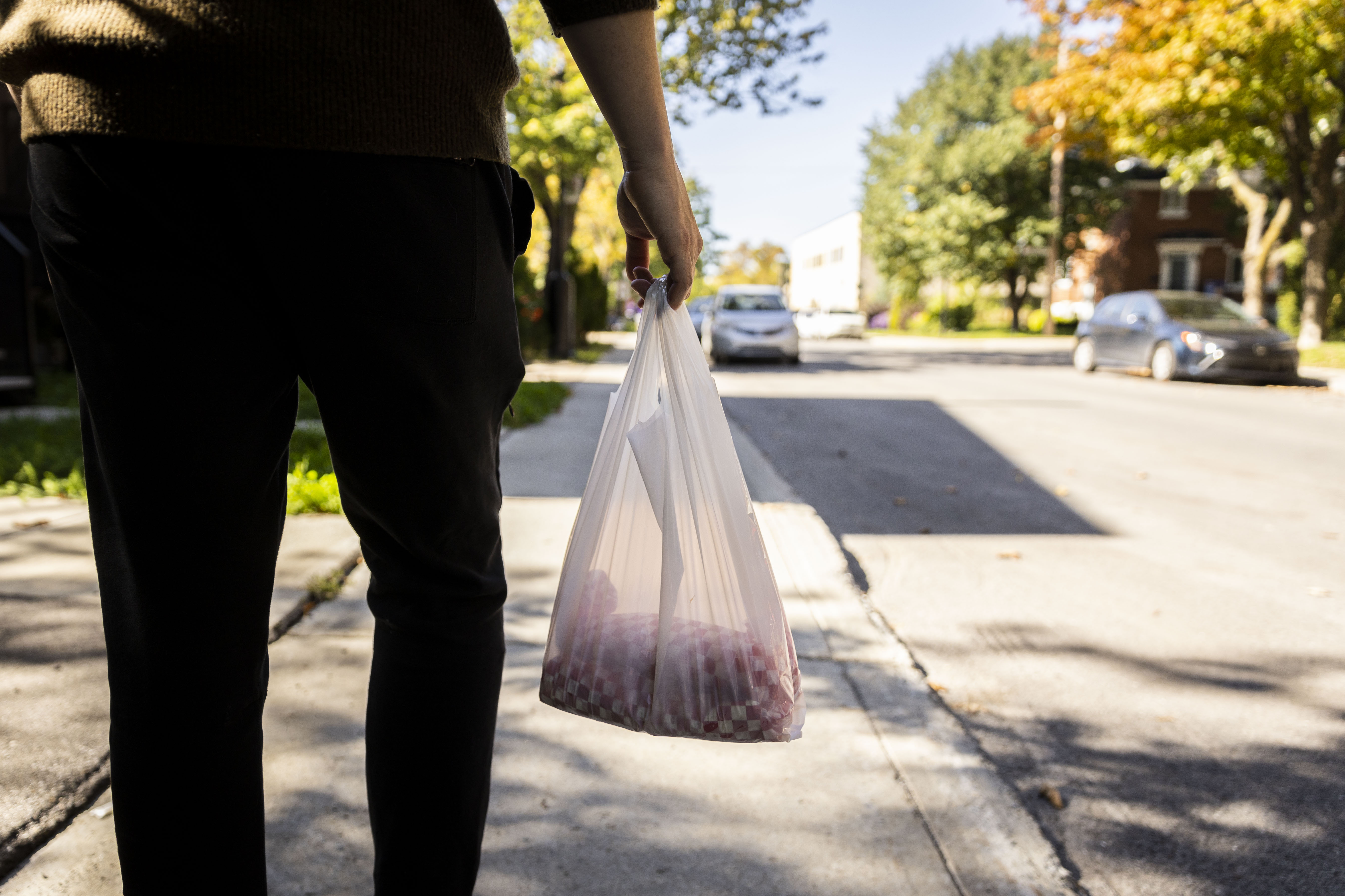 L'interdiction de fabriquer et d'importer des plastiques à usage