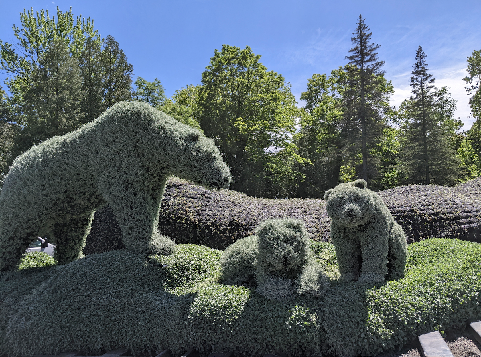 D'immenses sculptures de fleurs débarquent à Québec cet été et ça s'annonce  époustouflant - Narcity