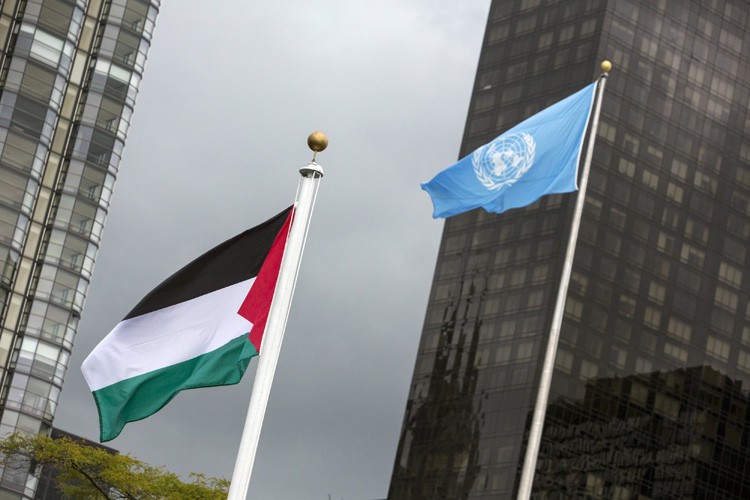 Le drapeau palestinien hissé pour la première fois à l'ONU - Jeune