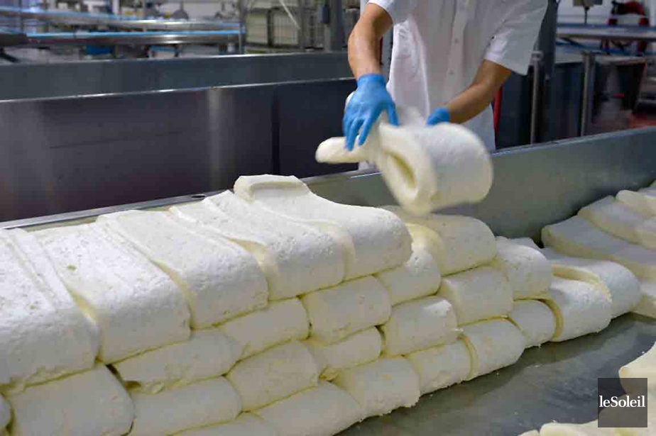 Fabrication De Fromage En Grain Maison | Ventana Blog