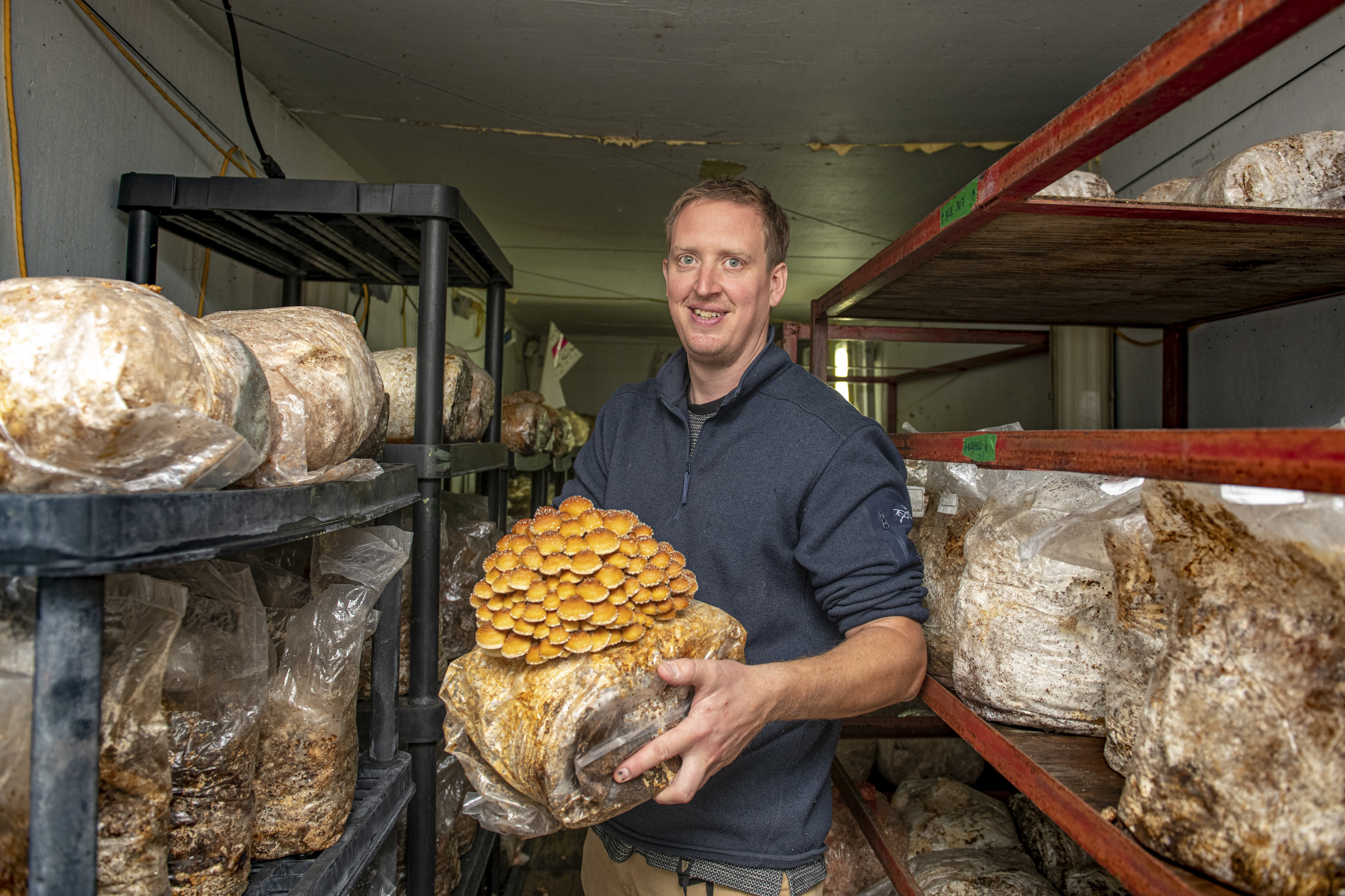 Faire pousser des champignons… ici, au Québec? – Vivre à la campagne