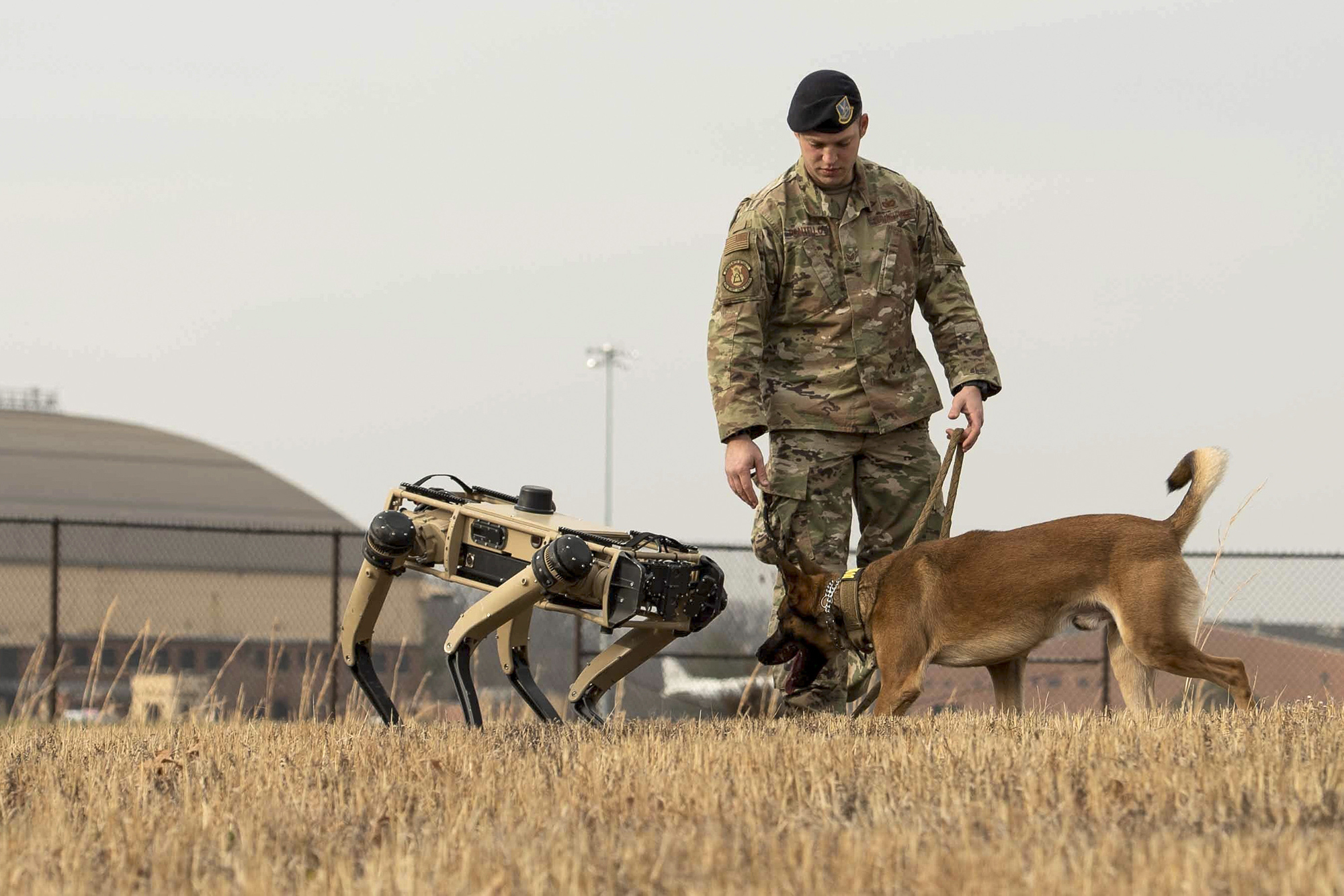 U.S. Air Force Staff Sgt. Carmen Pontello, 375th Security Forces Squadron military working dog trainer, introduces Hammer to the Ghost Robotics Vision 60 at Scott Air Force Base, Ill., Dec. 17, 2020. (Airman 1st Class Shannon Moorehead/Air Force)