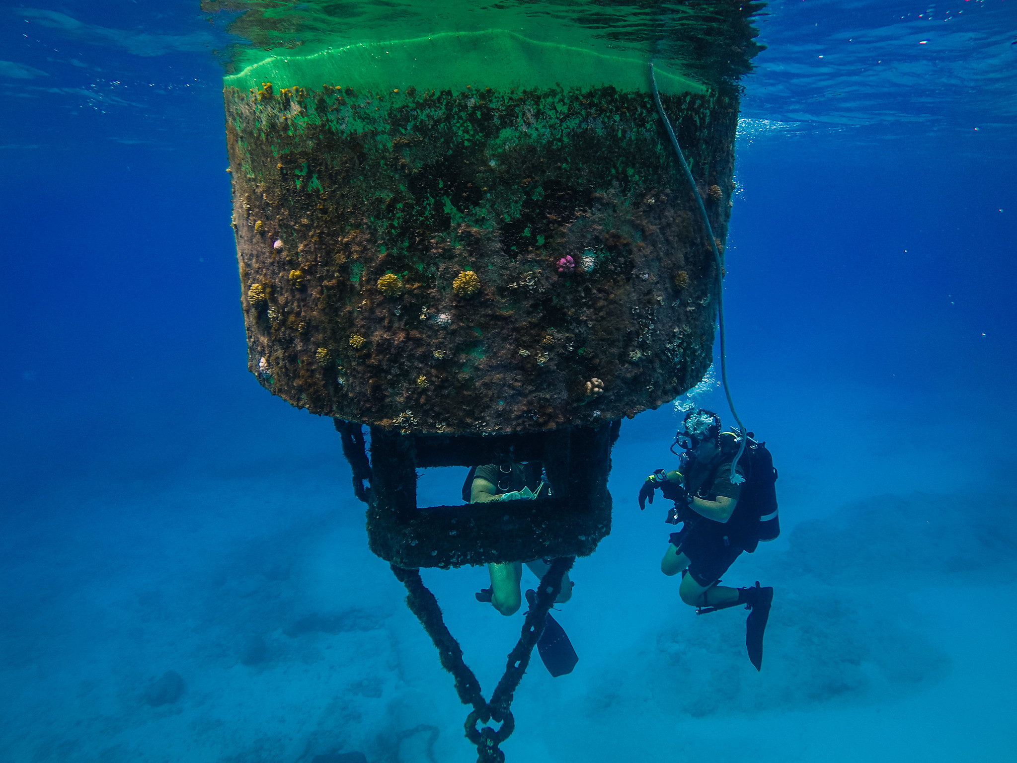 Steel Worker 3rd Class Andrew Cuellar, assigned to Underwater Construction Team (UCT) 2, Construction Dive Detachment Alfa, inspects a buoy within the Tinian Harbor on Oct. 1, 2020. (MC2 Cole C. Pielop/Navy)