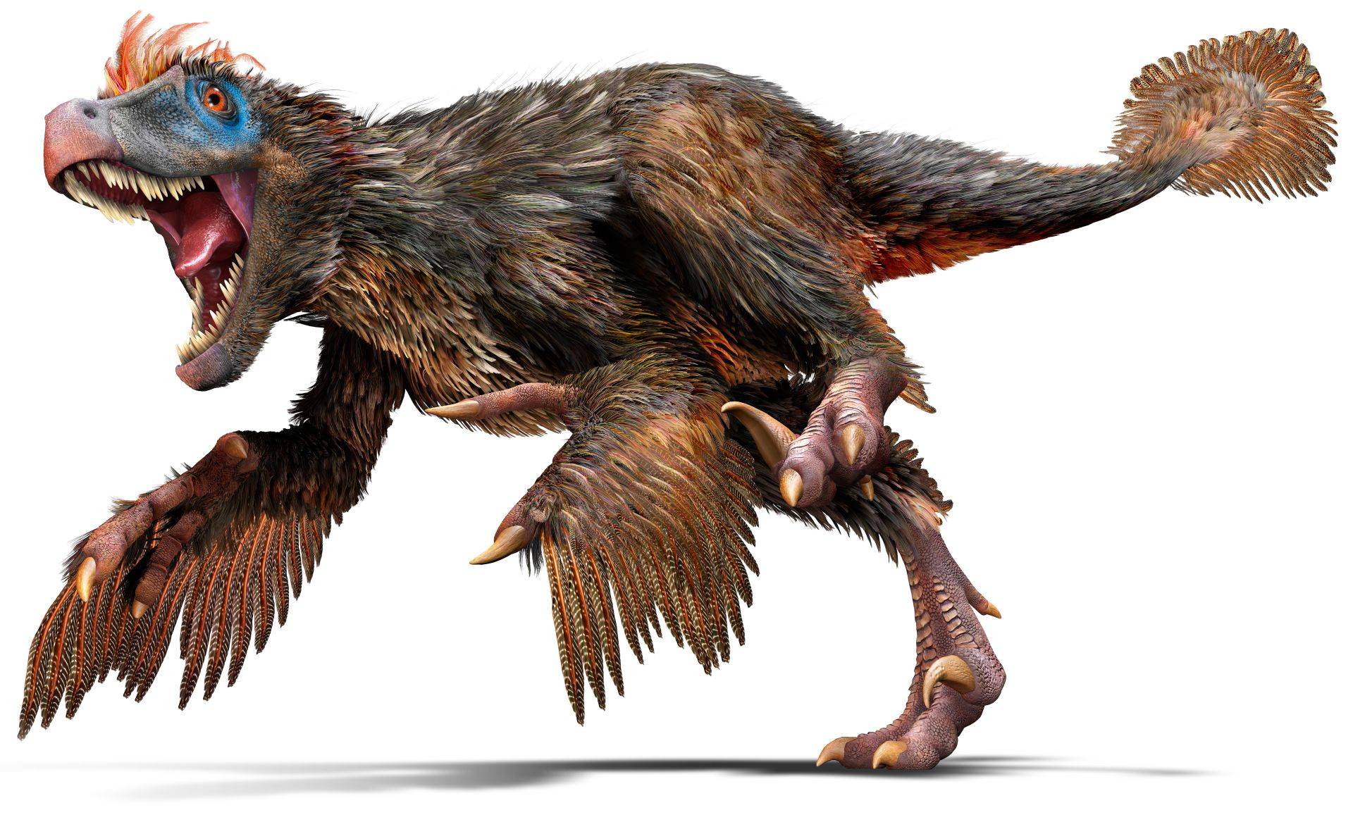 Así es el Deinonychus, el verdadero velociraptor de Jurassic Park